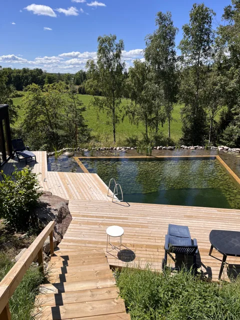 Utsikt över naturpoolen och trädäcket från trappan, med trädgården i bakgrunden.